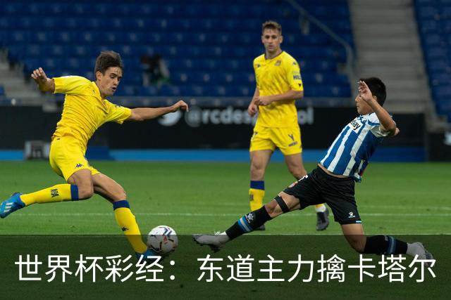 世界杯彩经：东道主力擒卡塔尔