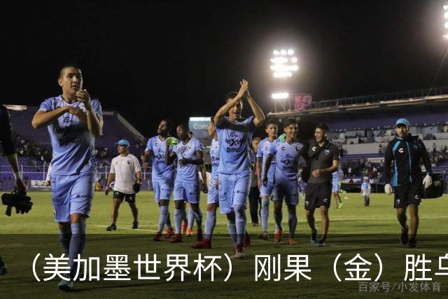 （美加墨世界杯）刚果（金）胜乌兹别克斯坦晋级 韩国无缘32强
